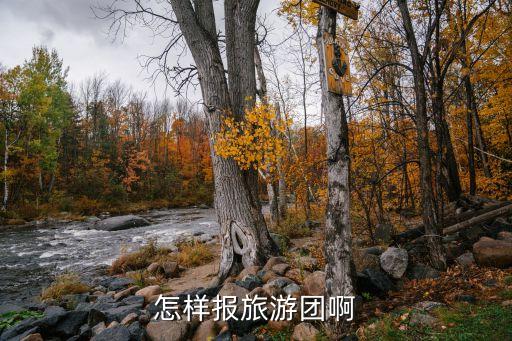 怎样报旅游团啊
