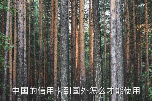 去国外旅游怎么用信用卡吗，中国的信用卡到国外怎么才能使用