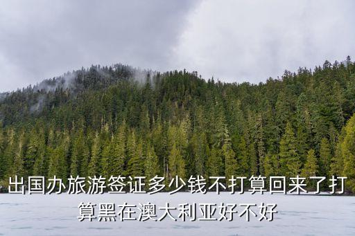 出国办旅游签证多少钱不打算回来了打算黑在澳大利亚好不好