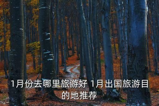 1月份去哪里旅游好 1月出国旅游目的地推荐