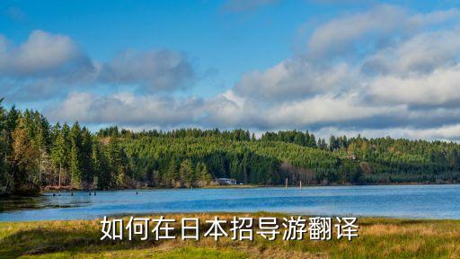 如何在日本招导游翻译