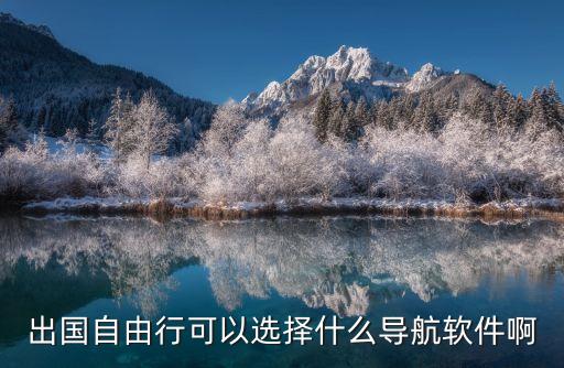 出国自由行可以选择什么导航软件啊