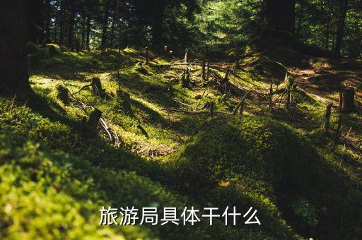 旅游局具体干什么