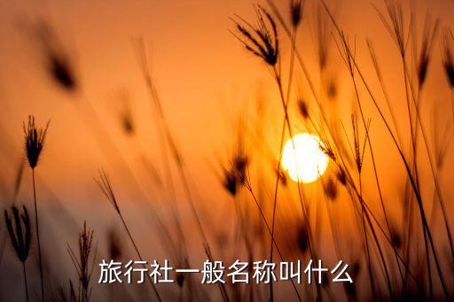 国际上有个旅游公司是什么，全球十大旅行社