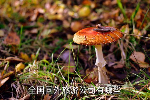 全国国外旅游公司有哪些