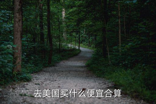 去美国买什么便宜合算