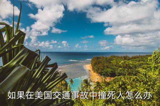 在国外旅游被撞死怎么办，出国旅游碰到车祸怎么办