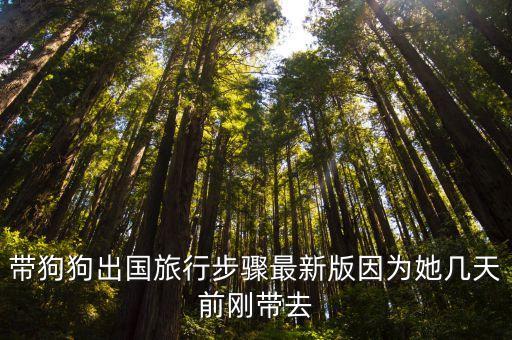 国外旅游怎么带宠物去国内，从美国带宠物猫到中国要经过什么手续