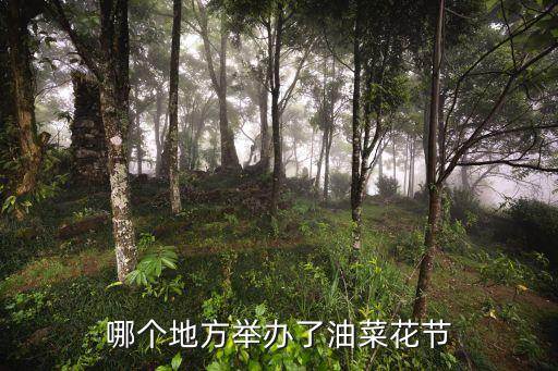 哪个地方举办了油菜花节