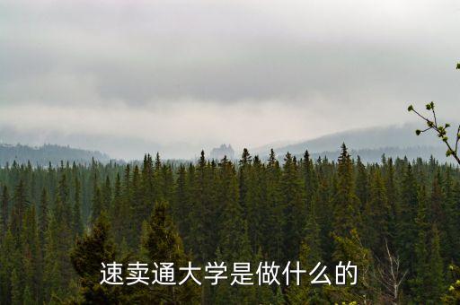 速卖通大学是做什么的