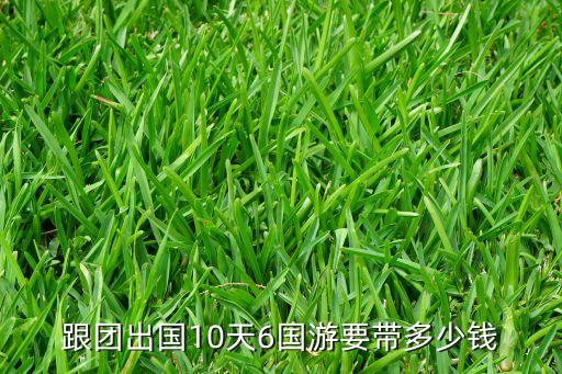 跟团出国10天6国游要带多少钱