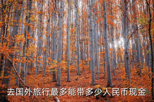 去国外旅行最多能带多少人民币现金
