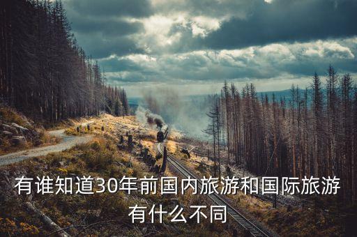 有谁知道30年前国内旅游和国际旅游有什么不同