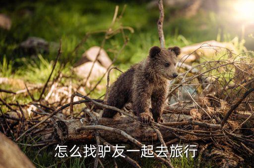 怎么找驴友一起去旅行