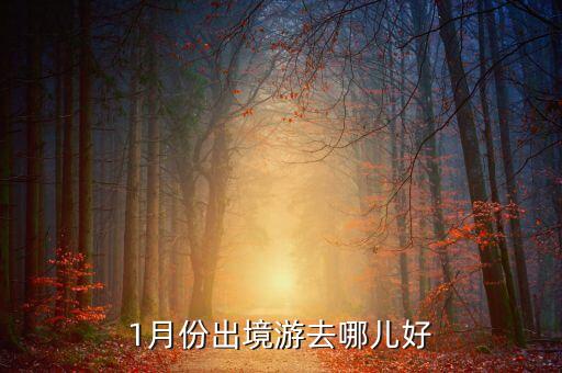1月份出境游去哪儿好