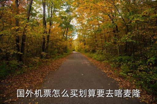国外机票怎么买划算要去喀麦隆