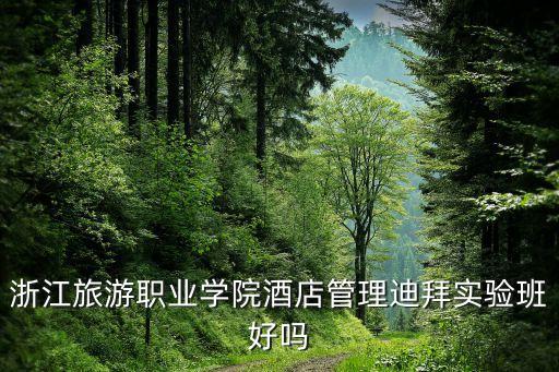 浙江旅游职业学院酒店管理迪拜实验班好吗
