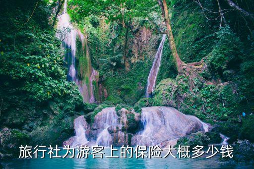 高档国际旅游保险价格多少，去欧洲旅游保险费要交多少钱