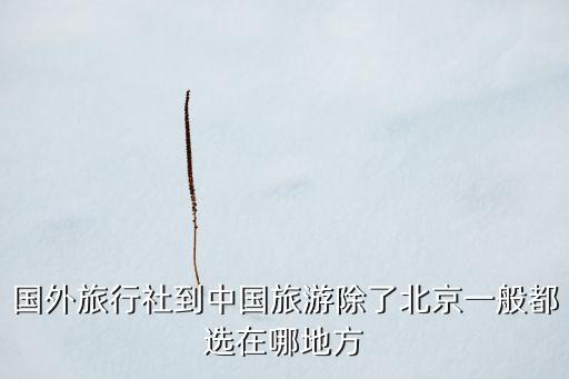 国外旅游国内如何选择地接，国外旅行社到中国旅游除了北京一般都选在哪地方