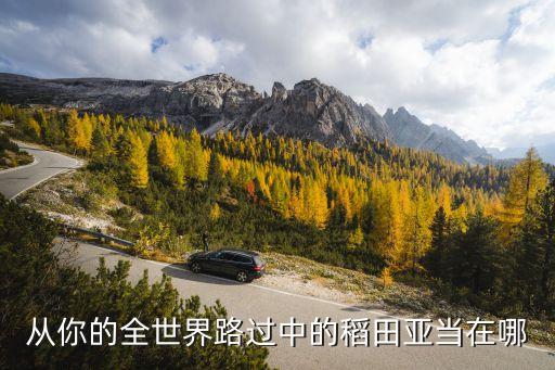 从你的全世界路过中的稻田亚当在哪