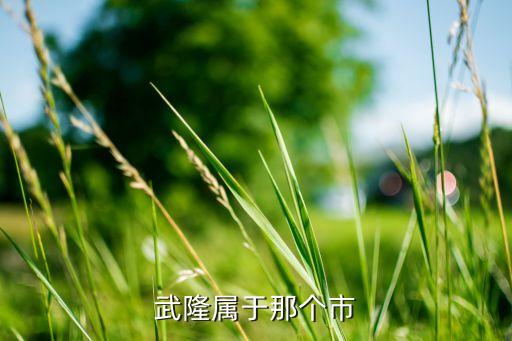 国外海岛全域旅游现状如何，新疆自驾游有哪些经典线路
