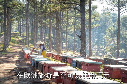 在欧洲旅游是否可以使用美元