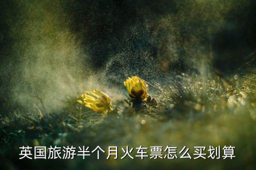 去国外旅游怎么买火车票，想去境外旅行怎么订火车票啊有人知道吗