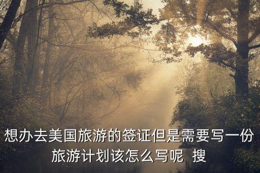 想办去美国旅游的签证但是需要写一份旅游计划该怎么写呢  搜