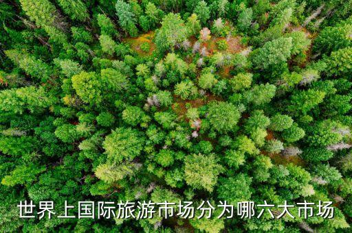世界上国际旅游市场分为哪六大市场
