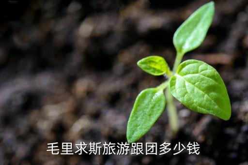 新疆国外旅游团价格多少，从乌鲁木齐到马尔代夫7日游多少钱