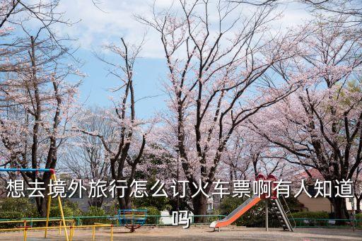 想去境外旅行怎么订火车票啊有人知道吗