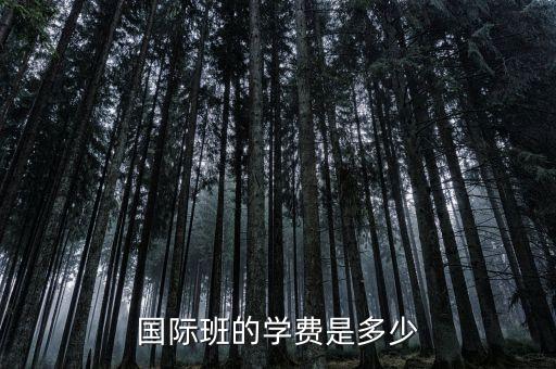旅游学校国际班学费多少钱，国际班的学费是多少