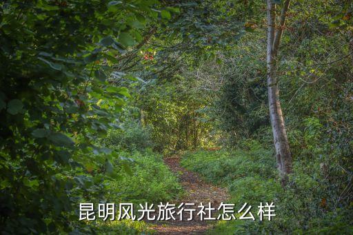 昆明风光旅行社怎么样