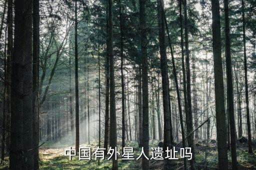 中国有外星人遗址吗