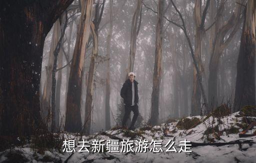 想去新疆旅游怎么走