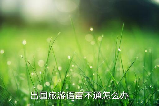 国外旅游语言怎么解决，出国旅游语言不通怎么办