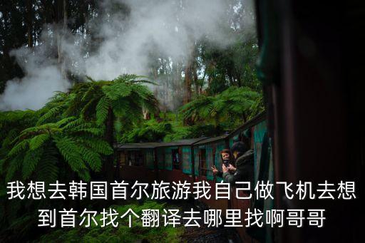 我想去韩国首尔旅游我自己做飞机去想到首尔找个翻译去哪里找啊哥哥