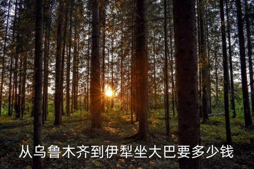 从乌鲁木齐到伊犁坐大巴要多少钱