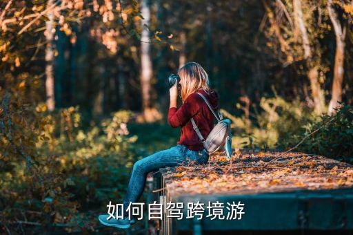 如何自驾跨境游