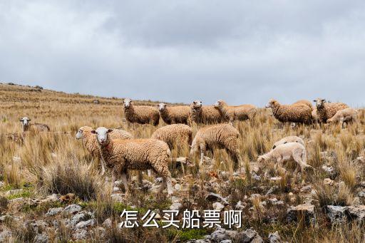 怎么买船票啊