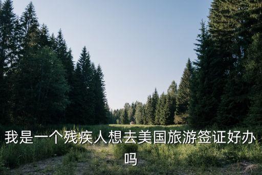 残疾人去国外旅游怎么办理，我是一个残疾人想去美国旅游签证好办吗