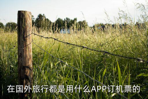 去国外旅游哪里订票好点，弱问去国外旅游订往返机票哪里订划算些
