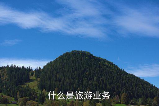 什么是旅游业务