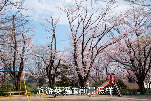 以后国际旅游会怎么样英语，旅游英语前景怎么样