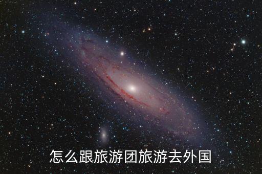 怎么跟旅游团旅游去外国