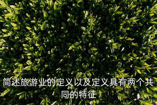 国际旅游业指什么意思，旅游业的定义旅行社旅游的定义