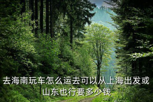 国外的车怎么去海南省旅游，从外海出发自驾车去海南岛怎样去
