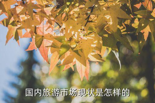 国内旅游市场现状是怎样的