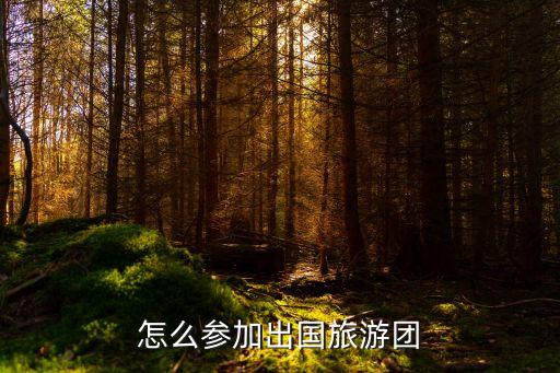 怎么参加出国旅游团