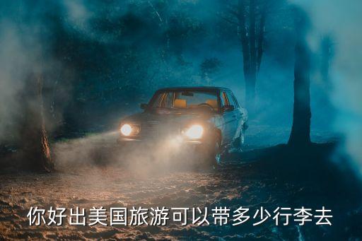 你好出美国旅游可以带多少行李去
